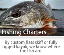 Charter Trips