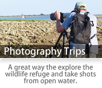 Photo Trips